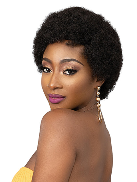 Femi Collection Ms Auntie Premium Synthetic Wig - AFRO OBA WIG