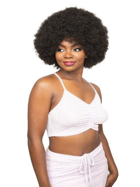 Janet Collection Natural Premium Synthetic Wig - AFRO DEON  *SALE