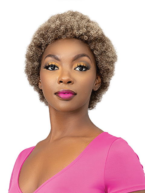 Femi Collection Ms Auntie Premium Synthetic Wig - AFRO OBA WIG
