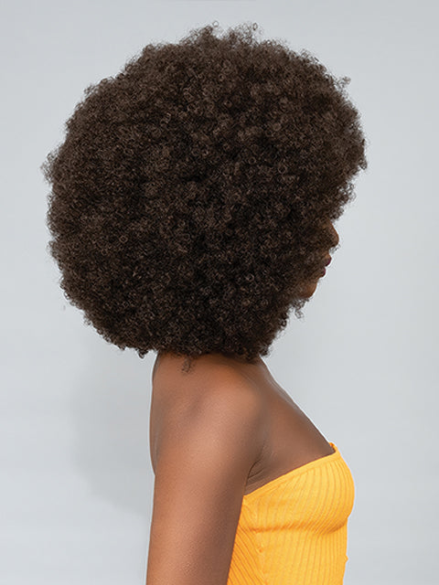 Femi Collection Ms Auntie Premium Synthetic Wig - AFRO ZORA WIG