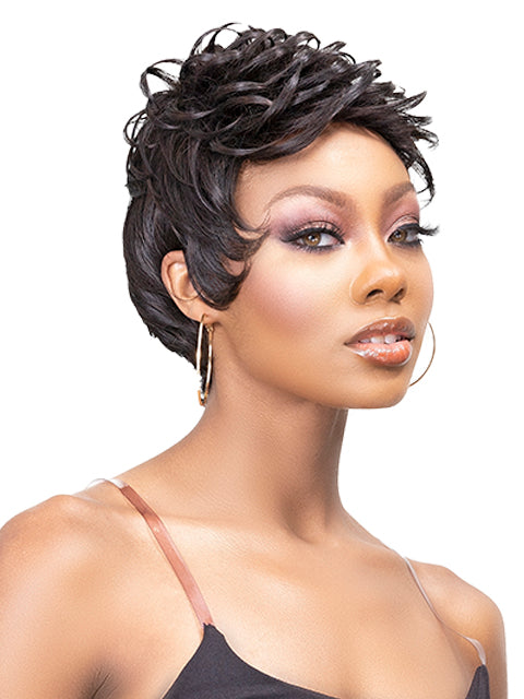 Femi Collection Ms Auntie Premium Synthetic Wig - KALA