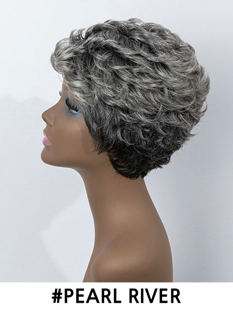 Femi Collection Ms Granny Premium Synthetic Wig - ECHO