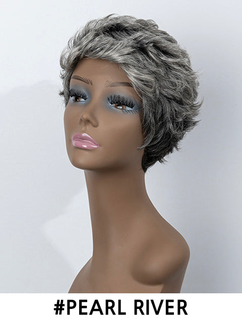Femi Collection Ms Granny Premium Synthetic Wig - ECHO