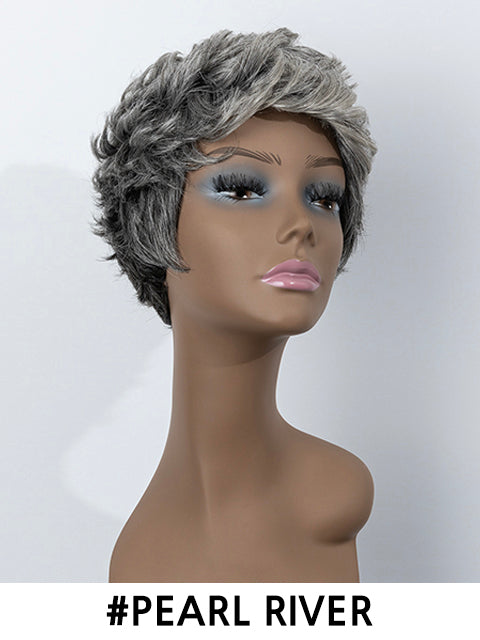 Femi Collection Ms Granny Premium Synthetic Wig - ECHO