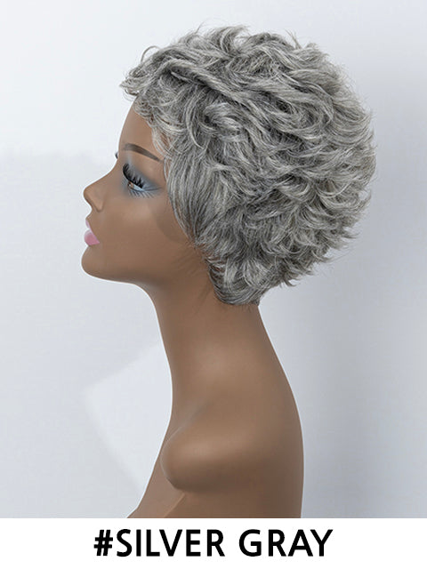 Femi Collection Ms Granny Premium Synthetic Wig - ECHO