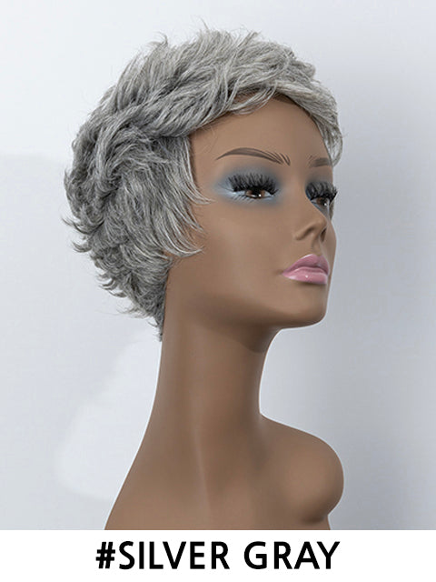 Femi Collection Ms Granny Premium Synthetic Wig - ECHO