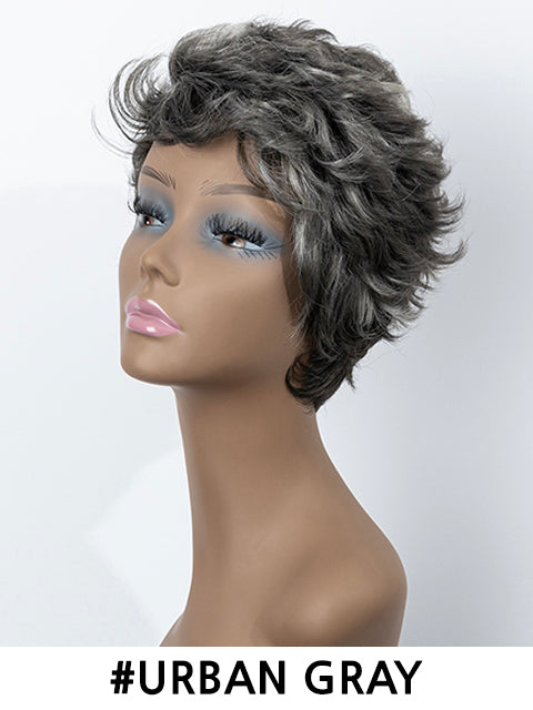 Femi Collection Ms Granny Premium Synthetic Wig - ECHO