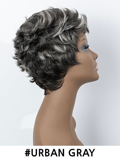 Femi Collection Ms Granny Premium Synthetic Wig - ECHO