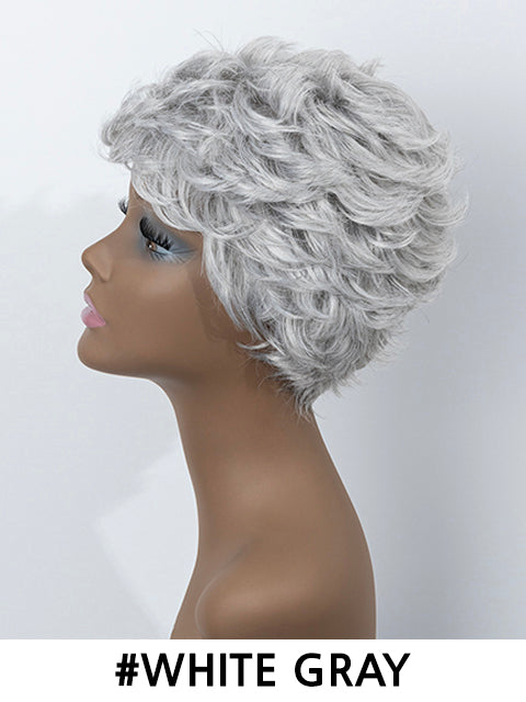 Femi Collection Ms Granny Premium Synthetic Wig - ECHO