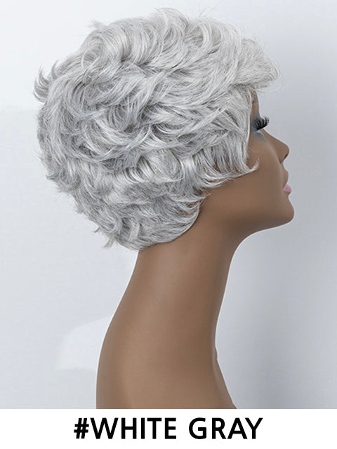 Femi Collection Ms Granny Premium Synthetic Wig - ECHO