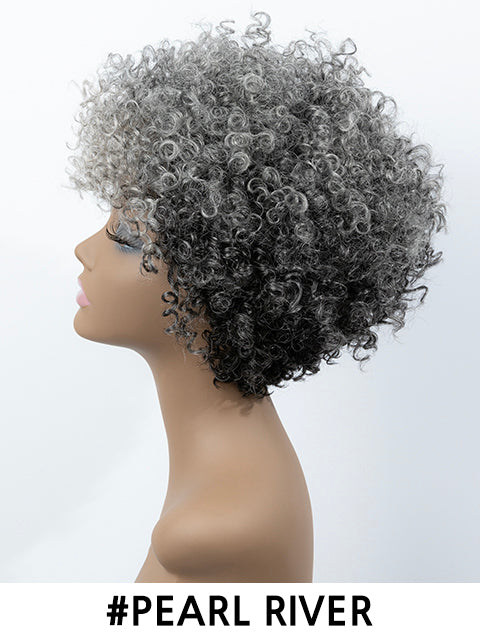 Femi Collection MS. Granny Collection 100% Premium fiber QUEENIE Wig