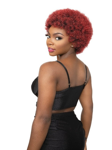 Janet Collection Natural Premium Synthetic Wig - AFRO CADY *SALE