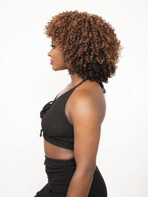 Janet Collection Natural Premium Synthetic Wig - AFRO GLYN