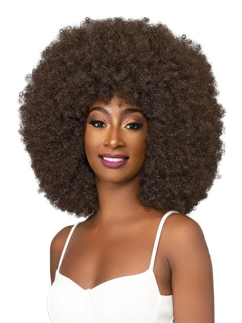 Janet Collection Premium Synthetic Natural Curly Wig - AFRO BADU