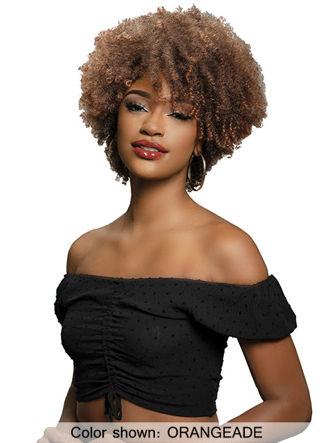 Janet Collection Natural Curly Premium Synthetic Wig - NATURAL AFRO PLES