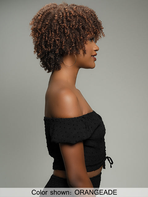 Janet Collection Natural Curly Premium Synthetic Wig - NATURAL AFRO PLES