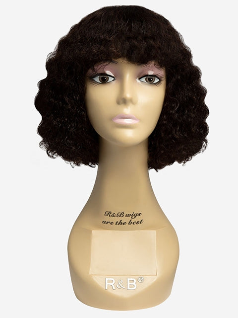 R&B Collection 100% Unprocessed Brazilian Virgin Remy Human Hair Lace Wig - PA-ARIA