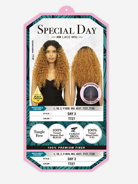 R&B Collection Human Hair Blended Lace Wig - DAY 3