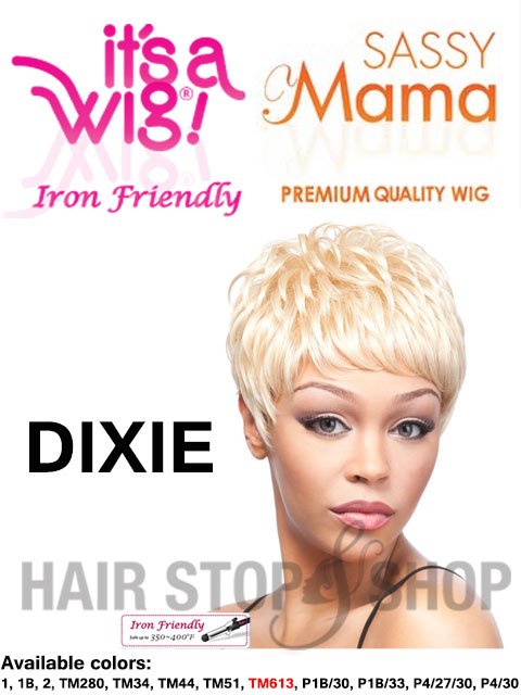 Its a Wig Sassy Mama Wig - DIXIE