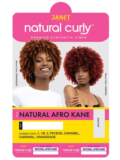 Janet Collection Natural Curly Premium Synthetic Wig KANE SALE