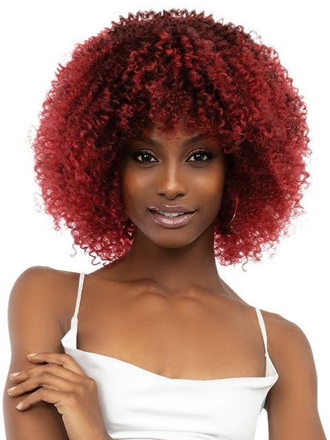 Janet Collection Natural Curly Premium Synthetic Wig - AFRO LEON  *SALE