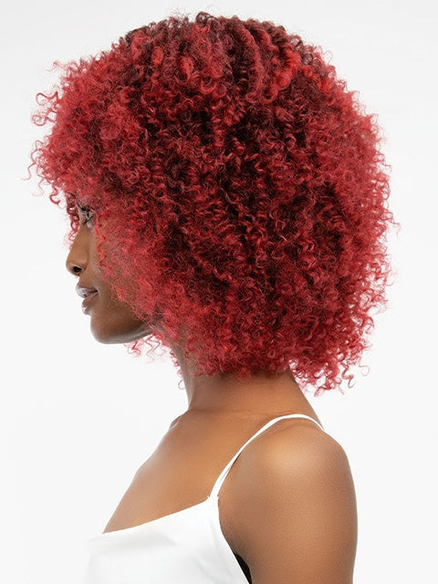 Janet Collection Natural Curly Premium Synthetic Wig - AFRO LEON  *SALE
