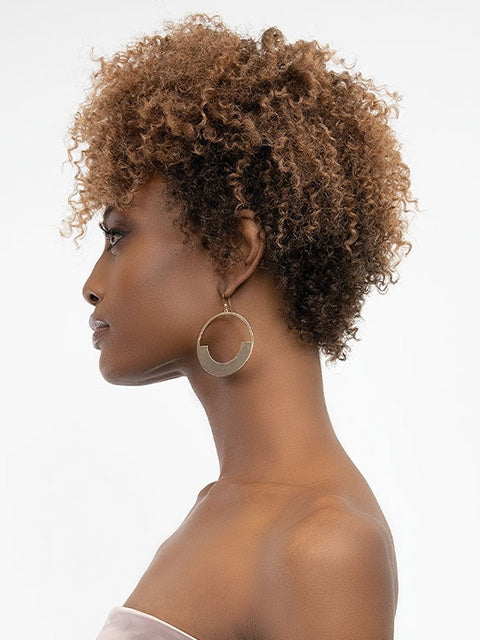 Janet Collection Natural Curly Premium Synthetic Wig - MICA  *SALE